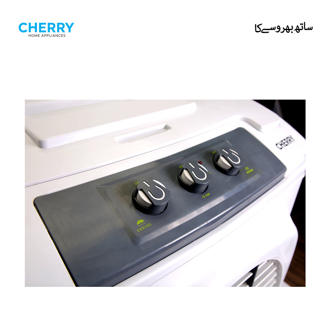 Air Cooler CR-3100 DC