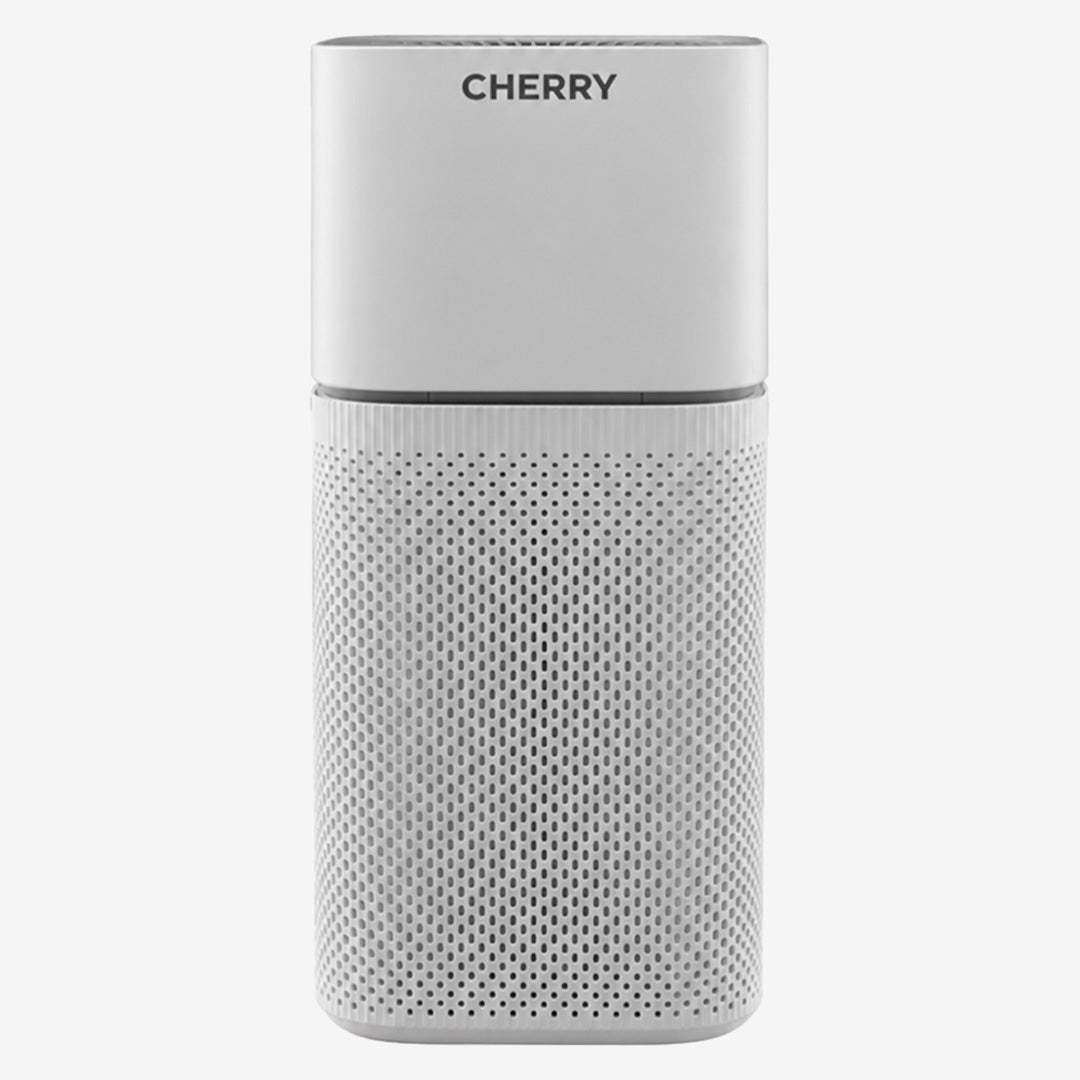 Air Purifier